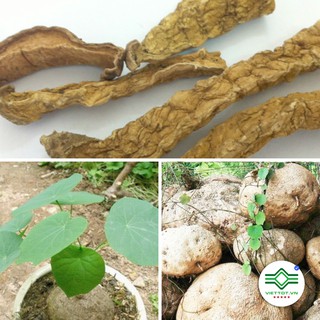 Củ Bình Vôi khô 1kg T163