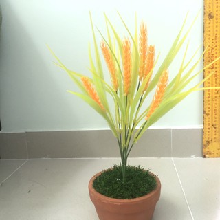 Cây giả trang trí - Cây bông lúa non giả, trang trí tường cây, nhà cửa, cắm chậu - YY-145 (chưa bao gồm chậu)