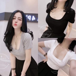 [ SIÊU KHUYẾN MÃI ] ÁO THUN CỔ U SIÊU XINH