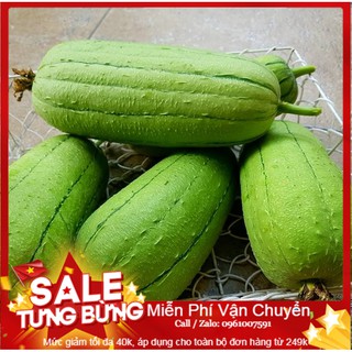 Hạt Giống Mướp Đài Loan - 10 Hạt
