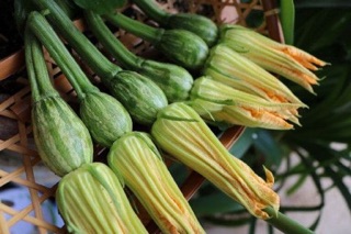 Hạt giống bí đỏ ăn bông 10 hạt
