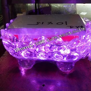 Kệ Sen pha lê 25x30