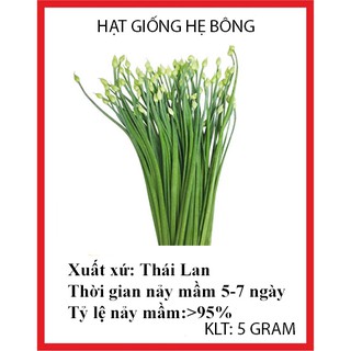 5 gram hạt giống rau hẹ bông