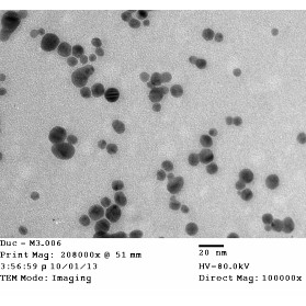 ⚡️FREE SHIP⚡️Nano bạc Haki diệt nấm, vi khuẩn Nano bạc HAKI 500ppm làm sạch bể cá, ao nuôi, phòng bệnh cho tôm cam hãng®
