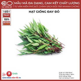 Hạt Giống Đay Đỏ (50gr) - Cây phát triển mạnh, sinh trưởng khỏe. Lá to dài màu xan, gân xanh tím, thân mềm, chịu hạn tốt