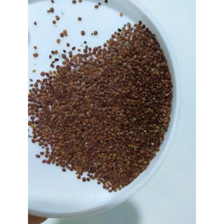 Hạt Ngũ Hoa ( loại hạt to,nâu vàng 1kg)