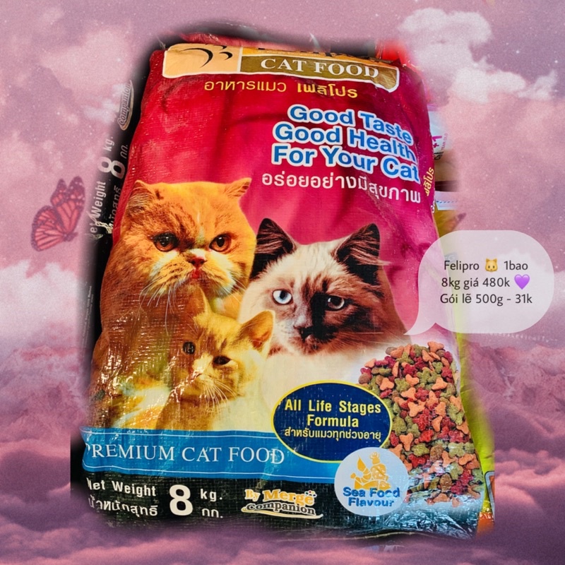 Felipro 🐱 bao lớn 8kg - Dành cho mọi lứa tuổi 🐱
