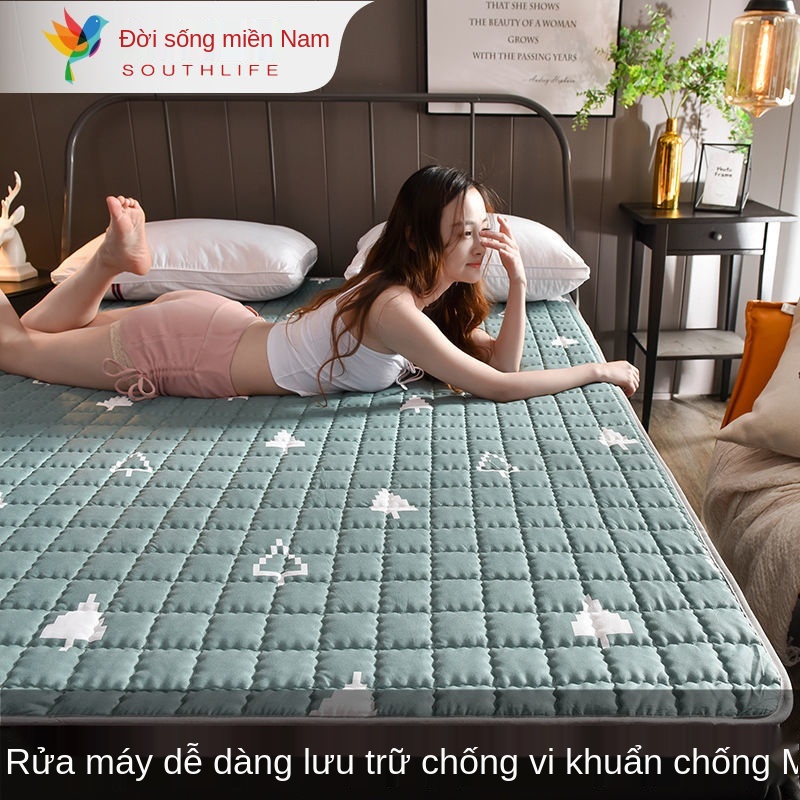 Nệm Bốn Mùa mỏng chống trượt Phòng ngủ tập thể Tian Four Seasons bảo vệ gấp Lưng đôi