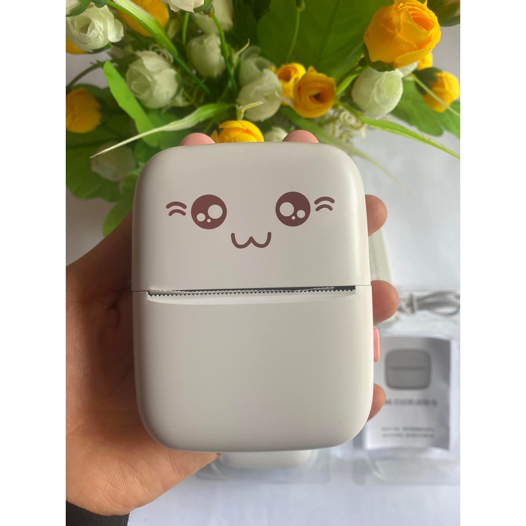 Máy in nhiệt mini cầm tay Bluetool, máy in đơn hàng, bill thanh toán mini