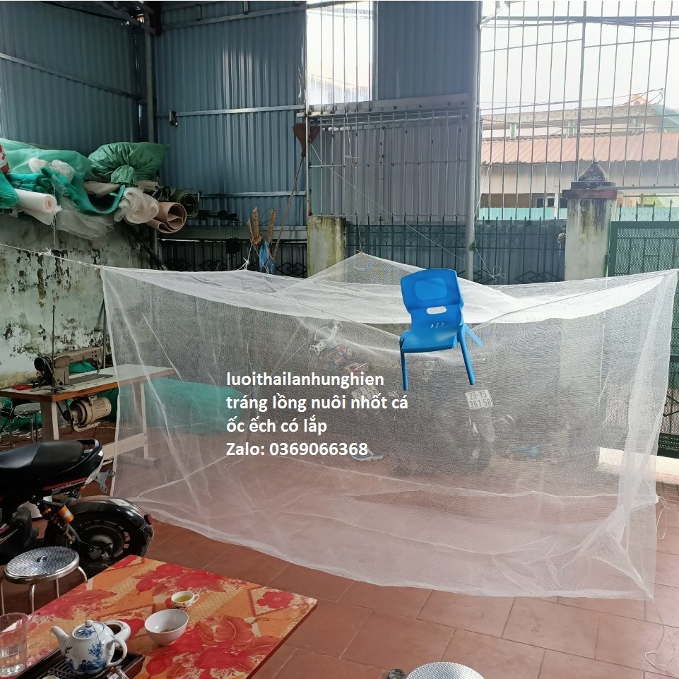 Lồng Nuôi cá ốc, Ếch, 10 x 4 x 1 có lắp che chắn tráng nuôi Cá ốc ếch Từ Nhỏ Tới To, Lưới Thái Lan sản phẩm tốt 121