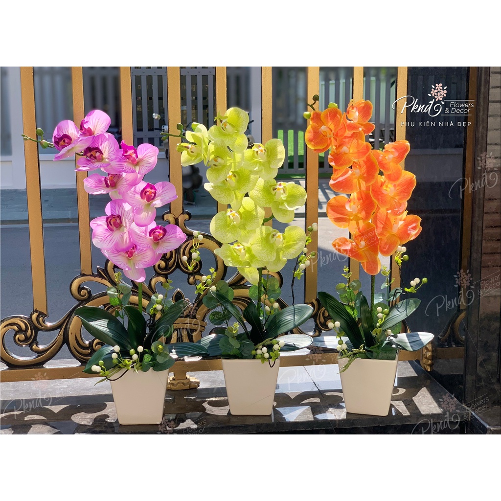 Chậu hoa giả lan hồ điệp chất cao su trang trí đẹp ( sản phẩm gồm cả chậu và hoa) PKND FLOWERS &amp; DECOR CH11