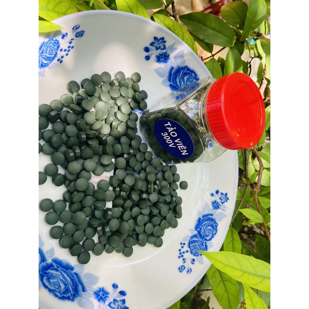 Tảo Viên - Thức Ăn Nuôi Artemia Cá Tép Cảnh 50G-100G