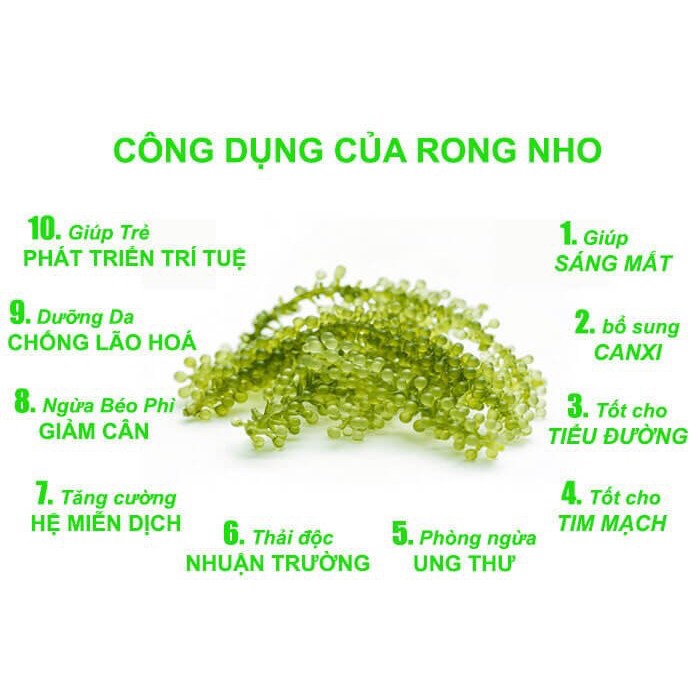 500GRAM RONG NHO KHÔ - SEA GRAPES - RONG NHO TÁCH NƯỚC + 5 GÓI MÈ RANG | BigBuy360 - bigbuy360.vn