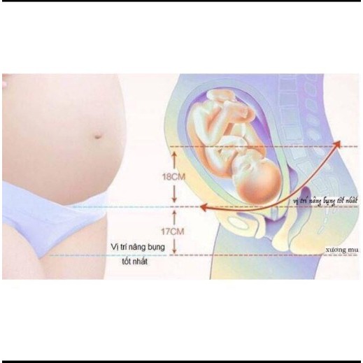 Combo 3 áo ngực bầu và cho con bú cài cúc ngang + 10 quần lót bầu cạp chéo siêu thoải mái