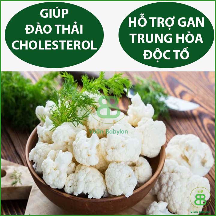 Hạt Giống Bông Cải Trắng Dễ Trồng, Chịu Nhiệt - Súp Lơ Trắng 0,3gram