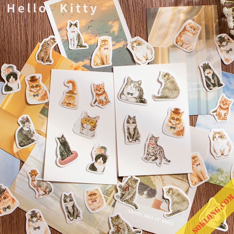 Sticker cute hình mèo hộp 46 sticker hoạt hình Mèo STI62 phong cách Châu Âu dễ thương
