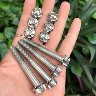 Ốc inox Salaya (Thái) 8li6 (8x60) - gắn gác chân phải winner