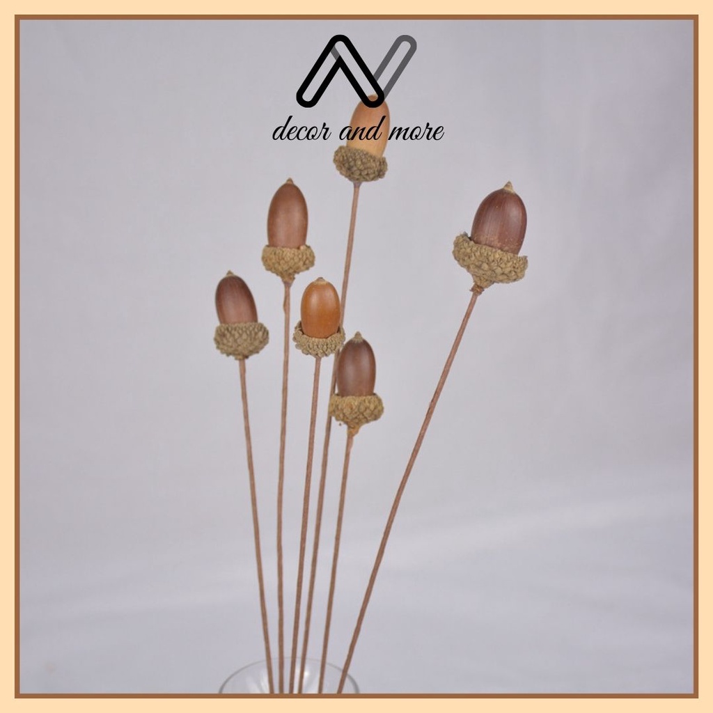 Hoa khô trang trí cành quả sồi khô AN DECOR đạo cụ chụp ảnh vintage