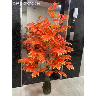 Cây Giả 🌺 Cây Lá Phong Đỏ Lá To