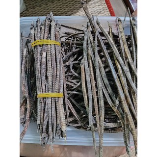 Hải long đen