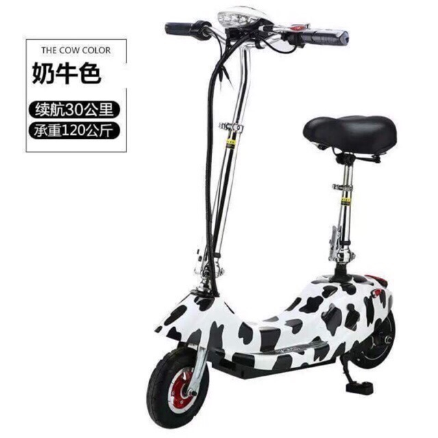 Xe điện mini