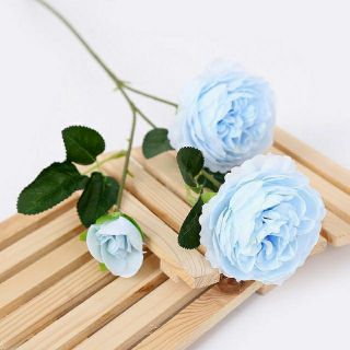 COMBO 50CÀNH HOA LỤA CAO CẤP (SỈ 9K)