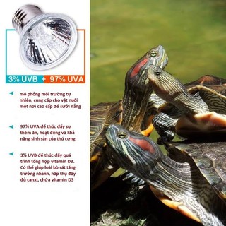 Đèn sưởi UVA + UVB 3.0 cho bò sát Nomoy pet