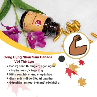Viên nang Nhân sâm Canada CND GINSENG GOLD (Hộp 60 viên)