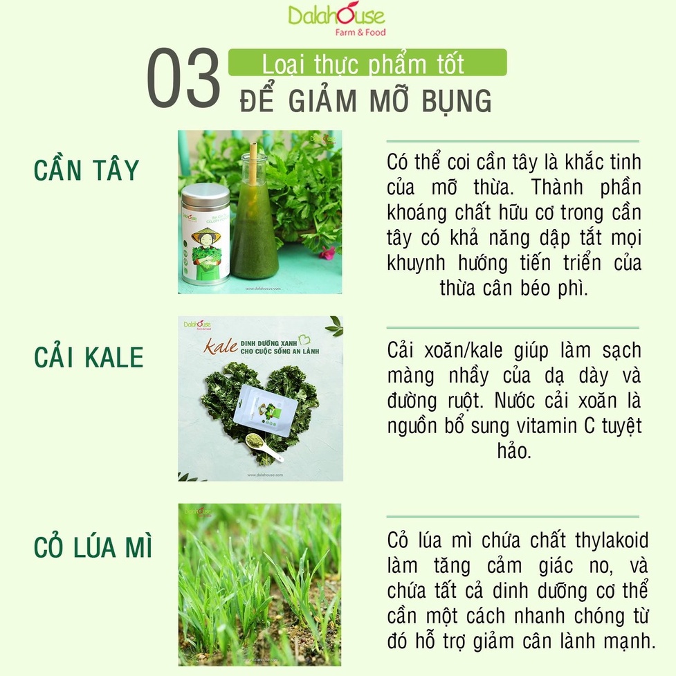 Bột Cần Tây Nguyên Chất Hữu Cơ Dalahouse Hộp 60g Công Nghệ Sấy Lạnh Đạt Chuẩn Châu Âu