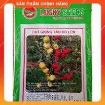 HẠT GIỐNG TÁO ĐỎ LÙN F1 GÓI 10 HẠT