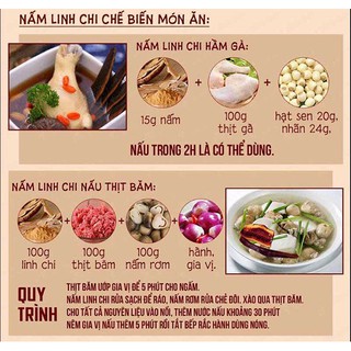 Nấm linh chi đỏ dạng khay Hàn Quốc