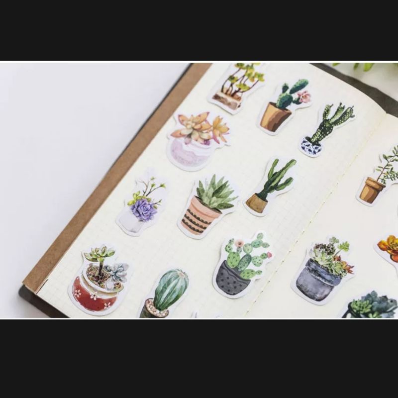 STICKER chậu sen đá hộp 45 miếng dán trang trí sổ tay, điện thoại, laptop - S06