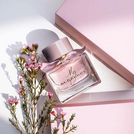 Nước hoa My Burberry EDP, Burberry Blush,Nước hoa mini nữ mùi hương kiêu sa, quyến rũ