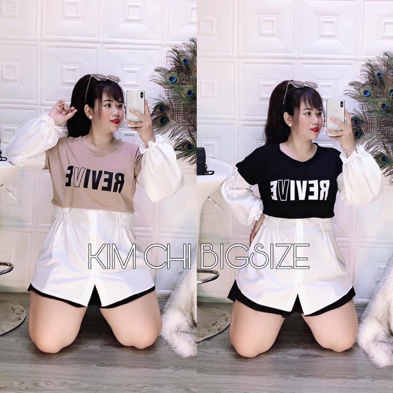 ÁO KIỂU BIGSIZE: ÁO TAY DÀI PHỐI BIGSIZE 60-90kg (có size) Shop Táo Đỏ