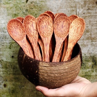 Combo Bát gáo dừa + muỗng gỗ dừa siêu đẹp.