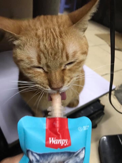Sup dinh dưỡng Wanpy NẮP VẶN cho mèo