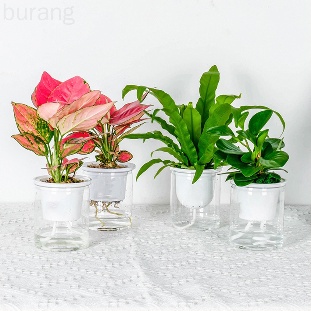 Chậu Hoa Tự Tưới Nước Cho Thú Cưng Trong Nhà / Ngoài Trời