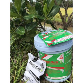 PHÂN BÓN LÁ HUMIC RICH - 1KG