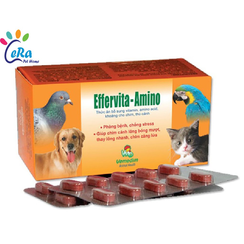 Viên Bổ Phòng Bệnh , Mượt Lông , Chống Stress - Effervita Amino ( 1 hộp 10 viên )