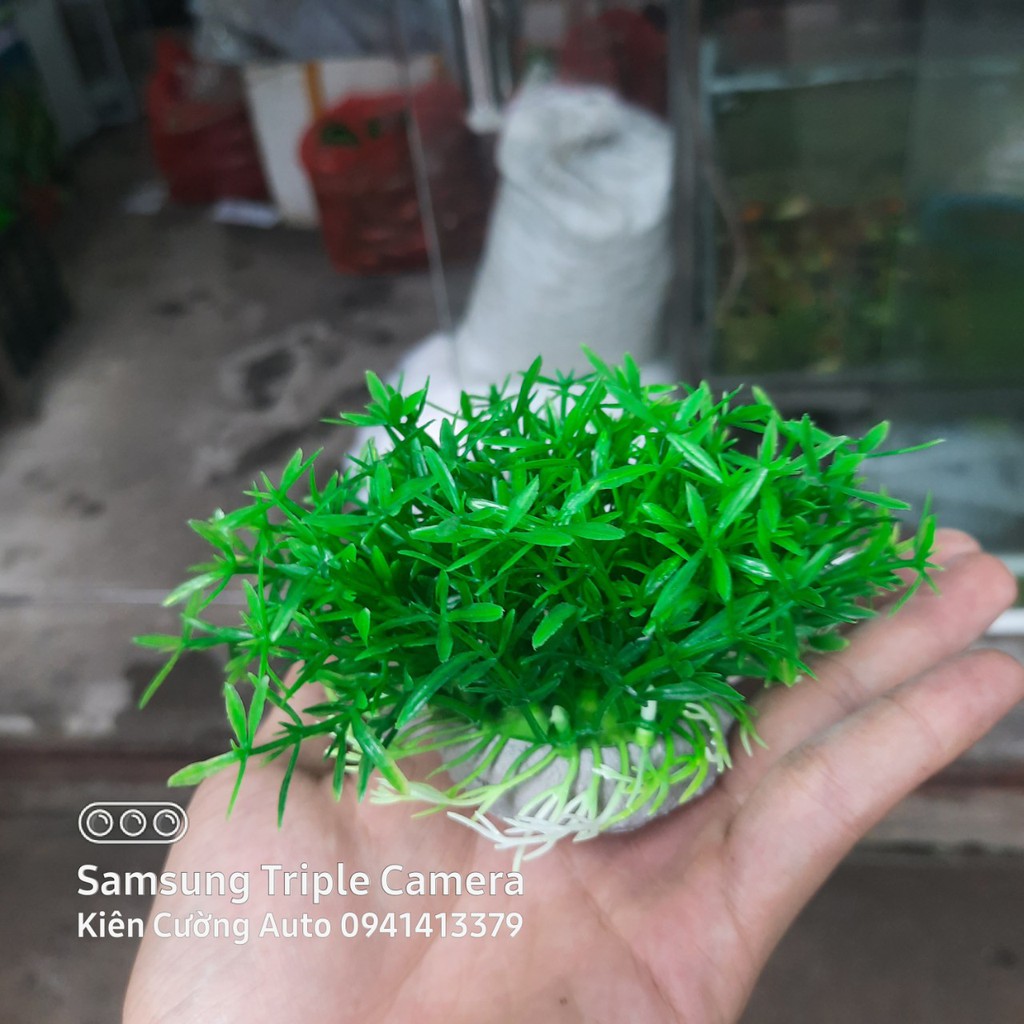 Mô hình trang trí cây nhựa cho bể cá cảnh, bể cá cao cấp