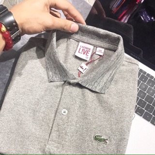 Áo Polo Lacoste xịn