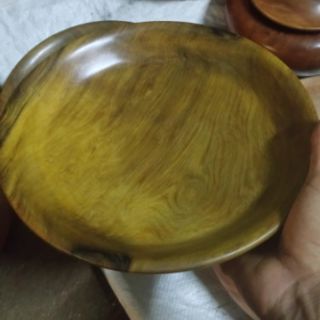 Đĩa gỗ bách xanh