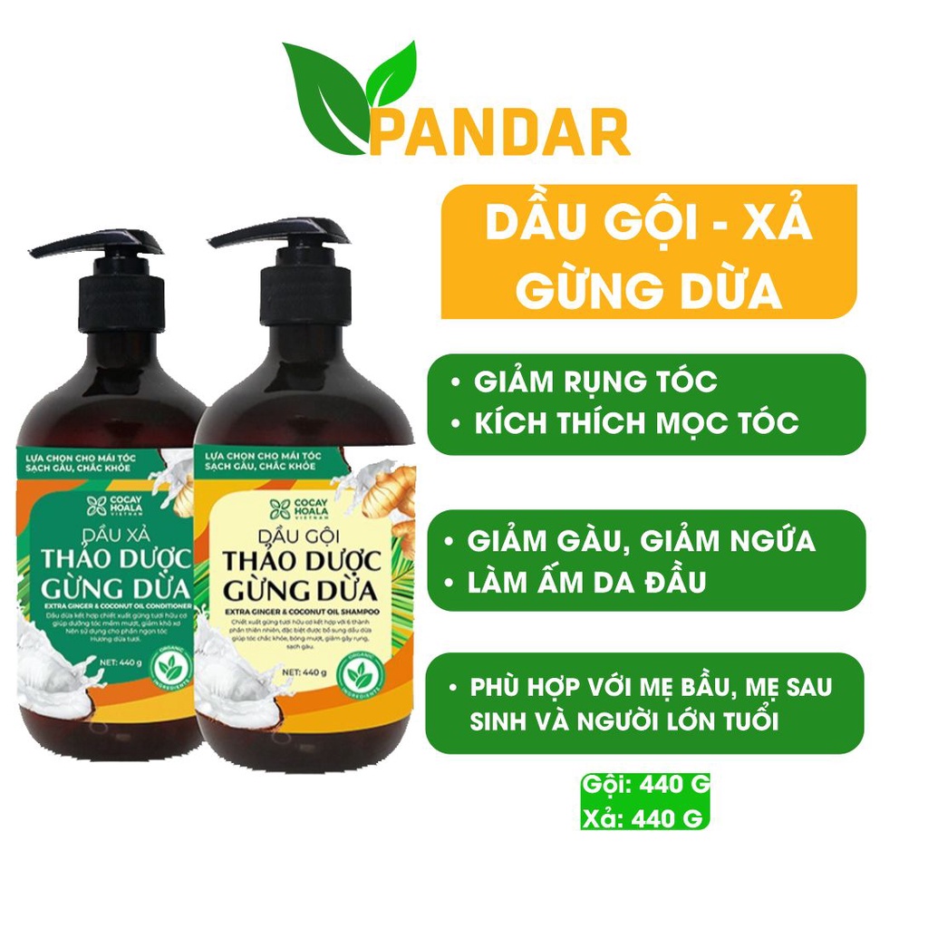 Dầu gội xả thảo dược gừng dừa cỏ cây hoa lá đánh bay gàu giảm nấm ngứa chỉ sau 3 lần sử dụng PANDAR