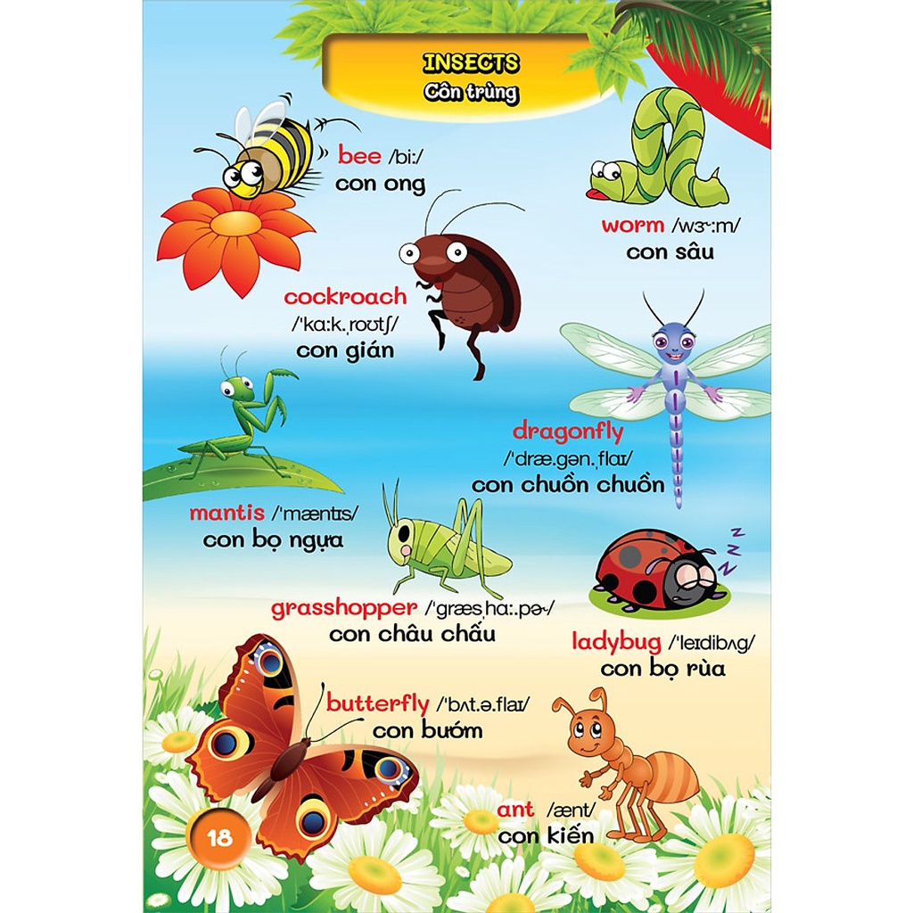 Sách- Từ điển bằng hình đầu tiên của bé