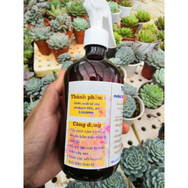 Chế phẩm Phòng trừ nấm bệnh  chuyên sen đá xương rồng _TNL04-AC.
