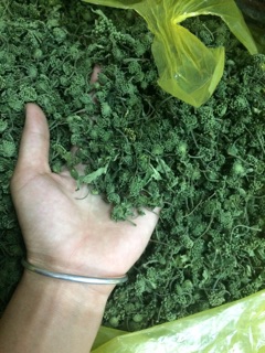 NỤ TAM THẤT BAO TỬ (500g)