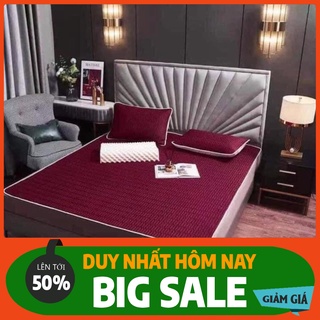 CHIẾU ĐIỀU HÒA TENCEL LATEX CAO SU NON TẶNG KÈM 2 CHIẾC VỎ GỐI (HÀNG CAO CẤP)