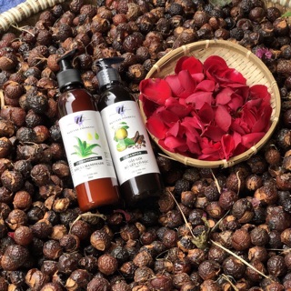 DẦU BỒ KẾT CÔ ĐẶC chai 500ml