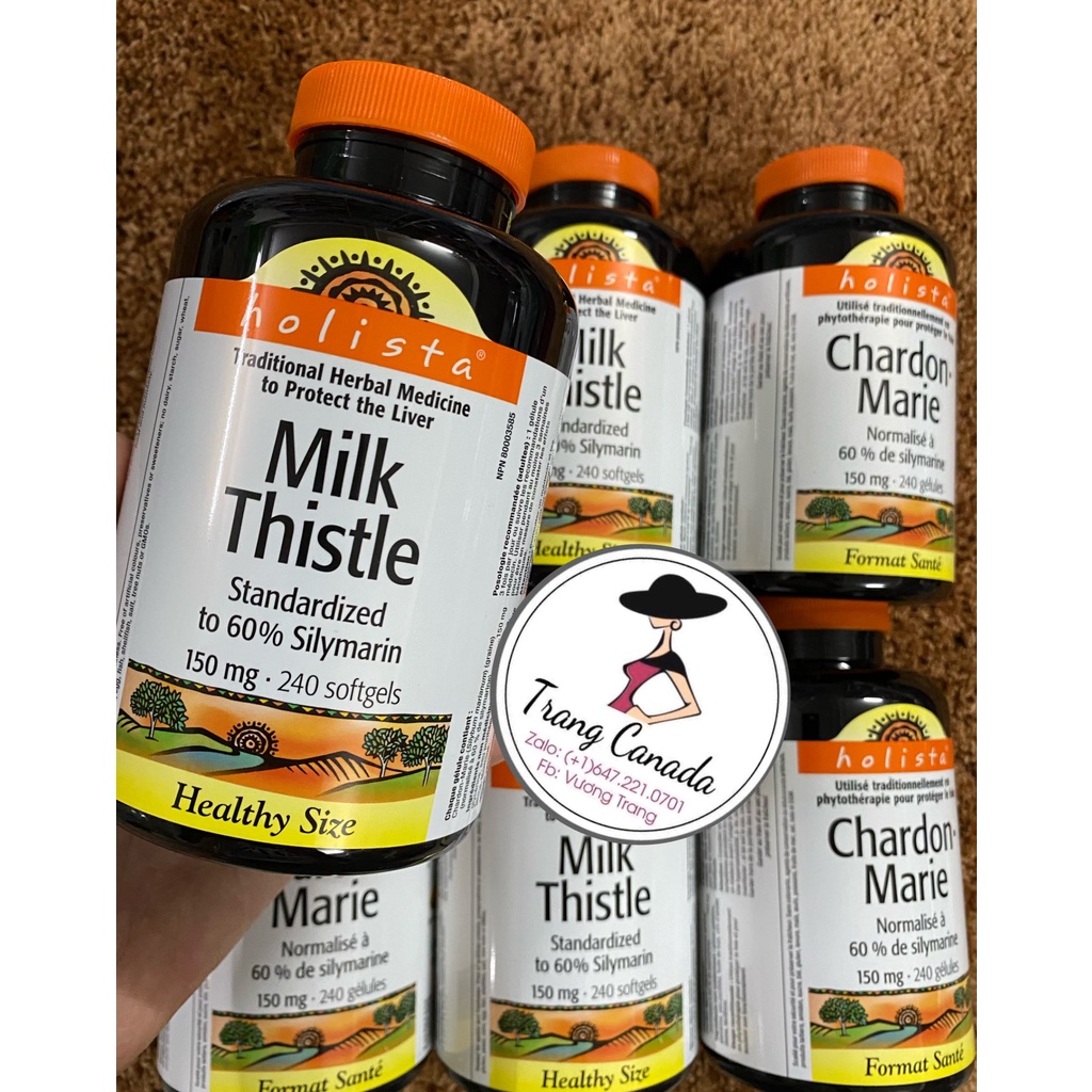 Viên uống thải độc gan Milk thistle  Holista Canada