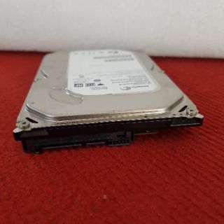 [FREESHIP 99K]_Ổ cứng PC seagate dung lượng 250G- 500GB
